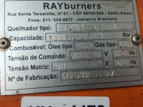Caldeira EONIA, gs 6000 Kg 14,5 presso de trabalho queimador RAYburners
